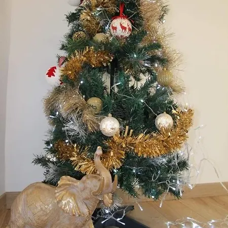 Relax Maison Et Ensemble *